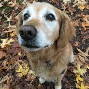 Meet your Posher, Carrie